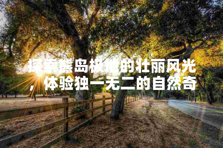 探索熊岛极地的壮丽风光，体验独一无二的自然奇观。