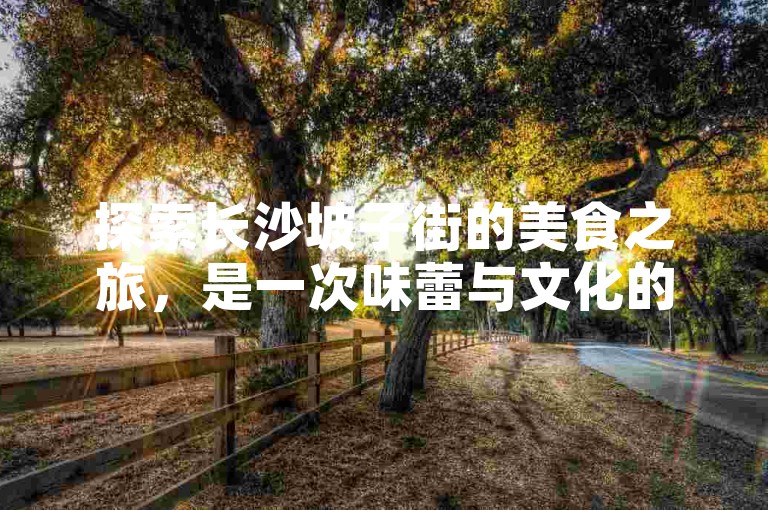 探索长沙坡子街的美食之旅，是一次味蕾与文化的双重盛宴。