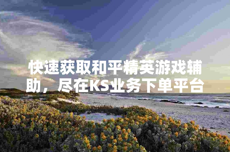 快速获取和平精英游戏辅助，尽在KS业务下单平台，享受秒到账的便捷服务。