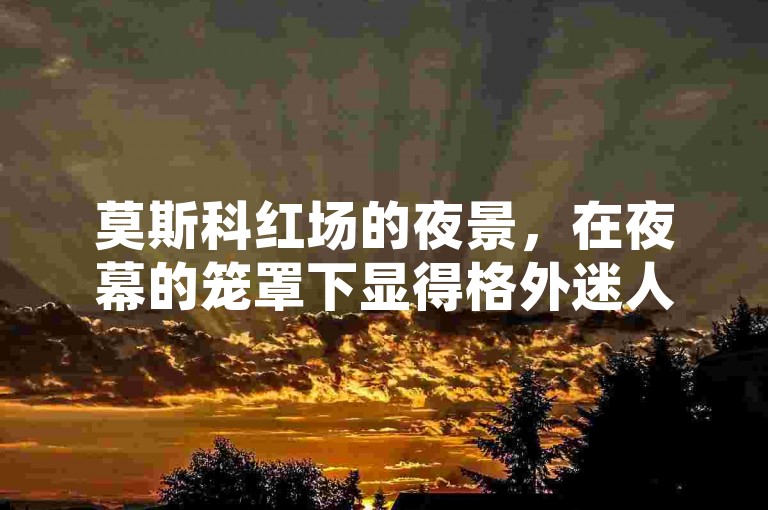 莫斯科红场的夜景，在夜幕的笼罩下显得格外迷人，灯光璀璨，历史与现代交织，吸引着无数游客驻足观赏。