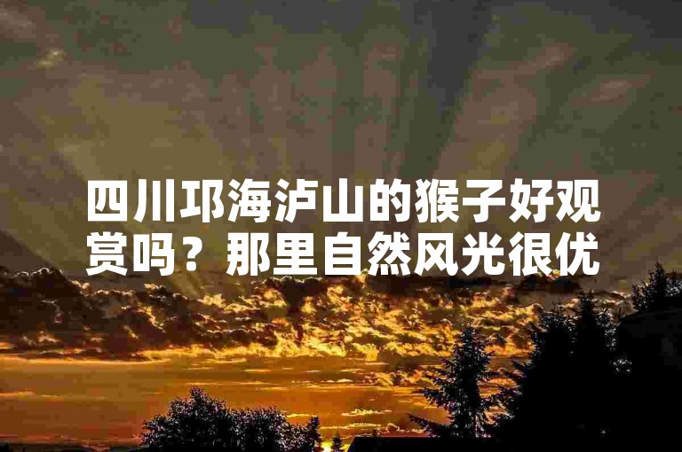 四川邛海泸山的猴子好观赏吗？那里自然风光很优美。