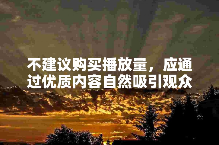 不建议购买播放量，应通过优质内容自然吸引观众。
