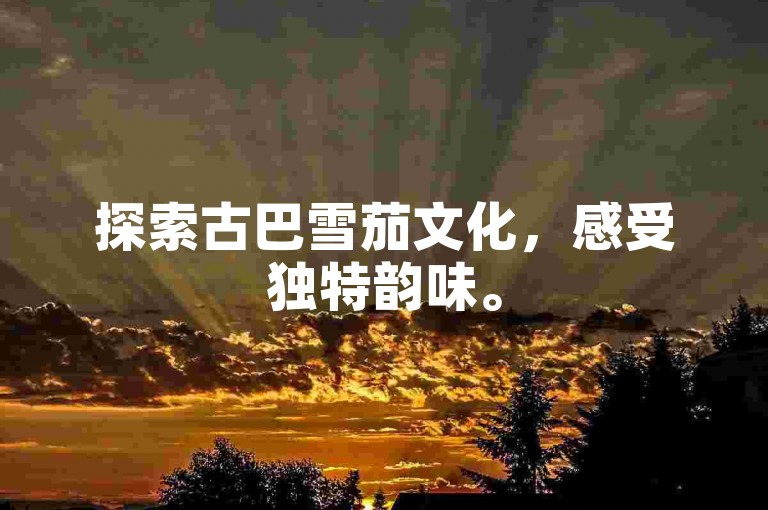 探索古巴雪茄文化，感受独特韵味。
