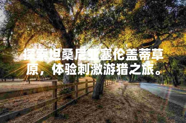 探索坦桑尼亚塞伦盖蒂草原，体验刺激游猎之旅。