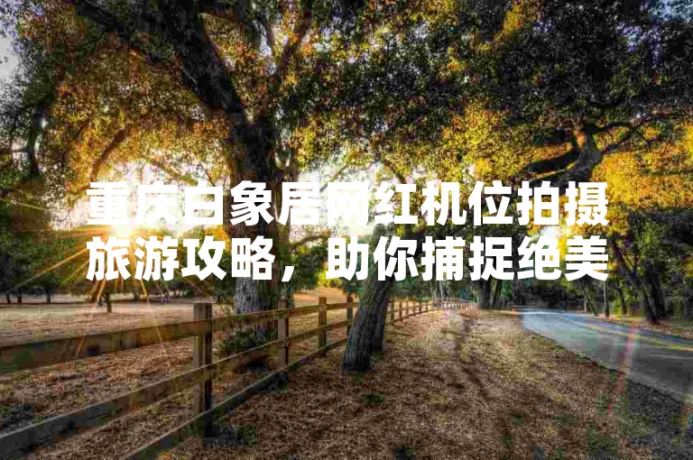 重庆白象居网红机位拍摄旅游攻略，助你捕捉绝美景致。
