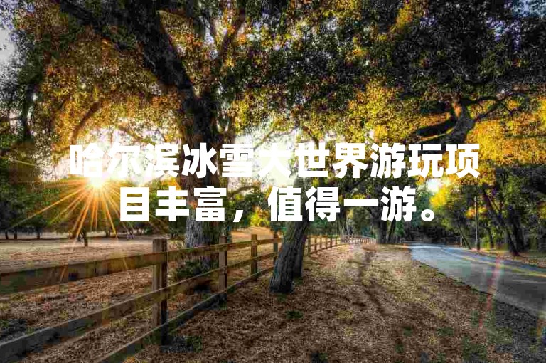 哈尔滨冰雪大世界游玩项目丰富，值得一游。