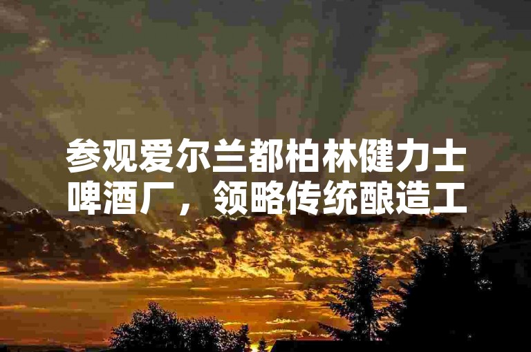 参观爱尔兰都柏林健力士啤酒厂，领略传统酿造工艺。
