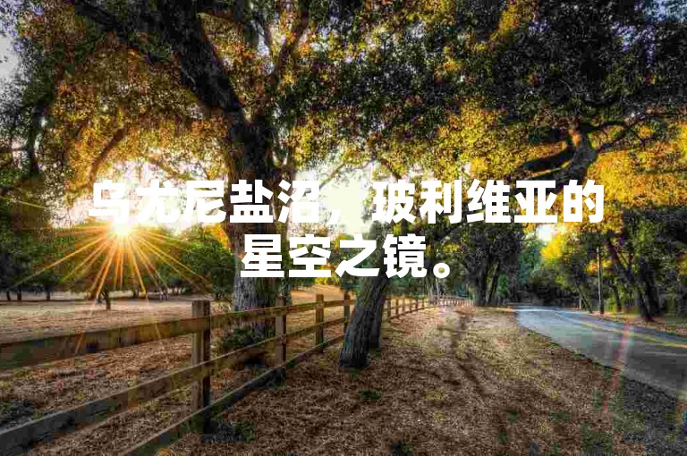 乌尤尼盐沼，玻利维亚的星空之镜。