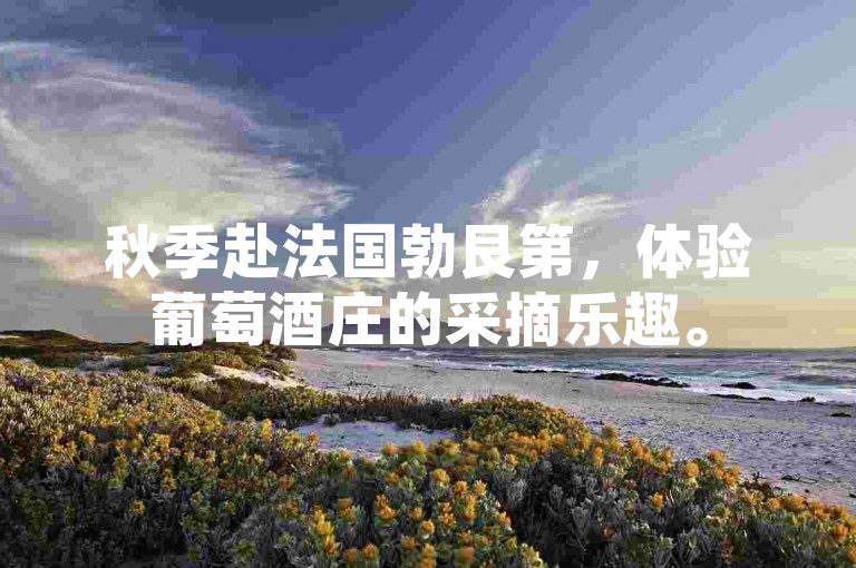 秋季赴法国勃艮第，体验葡萄酒庄的采摘乐趣。