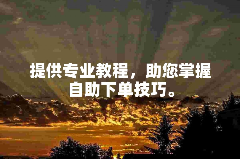 提供专业教程，助您掌握自助下单技巧。