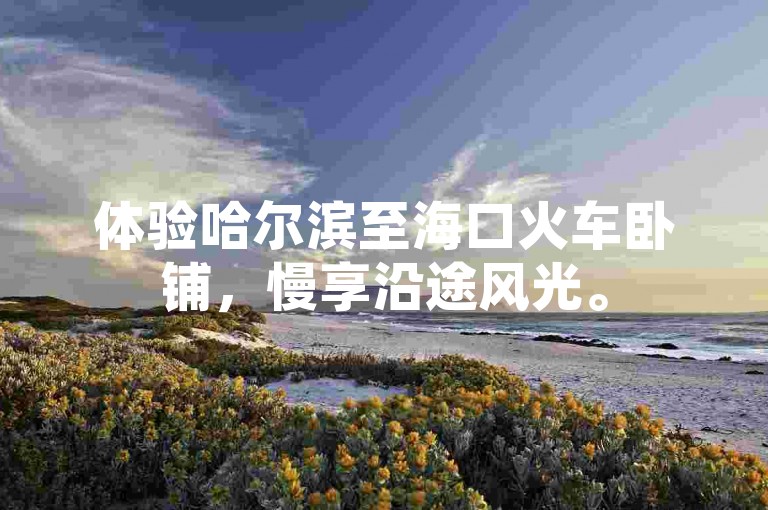 体验哈尔滨至海口火车卧铺，慢享沿途风光。