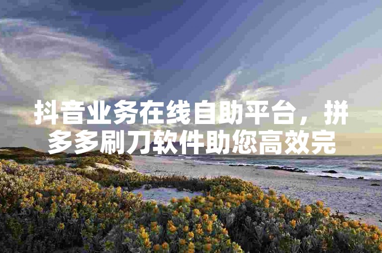 抖音业务在线自助平台，拼多多刷刀软件助您高效完成任务。