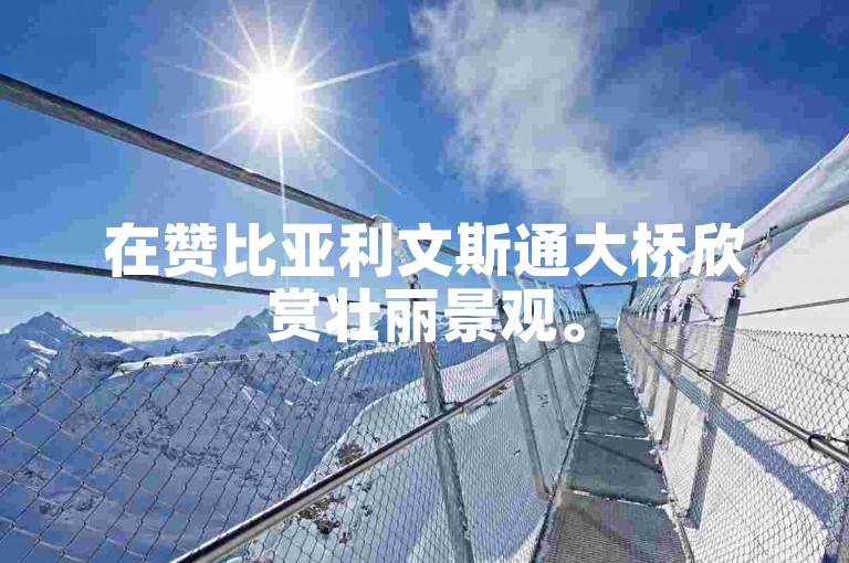 在赞比亚利文斯通大桥欣赏壮丽景观。