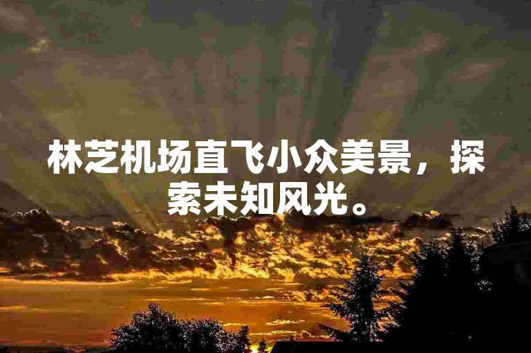 林芝机场直飞小众美景，探索未知风光。