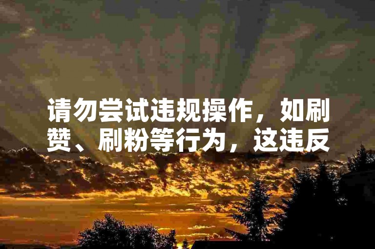 请勿尝试违规操作，如刷赞、刷粉等行为，这违反了平台规定。