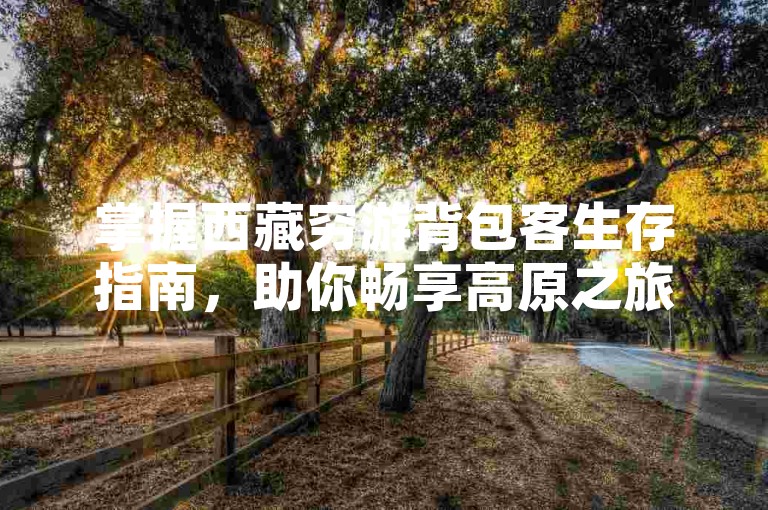 掌握西藏穷游背包客生存指南，助你畅享高原之旅。