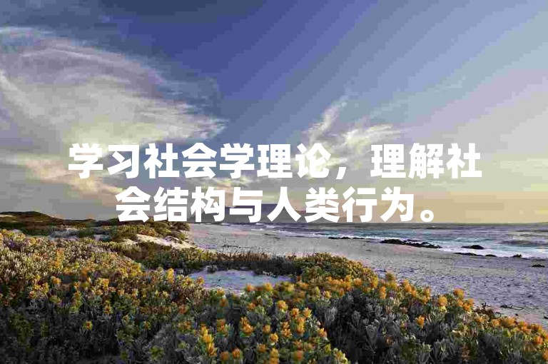 学习社会学理论，理解社会结构与人类行为。