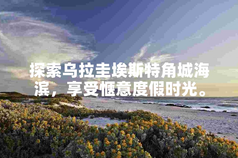 探索乌拉圭埃斯特角城海滨，享受惬意度假时光。