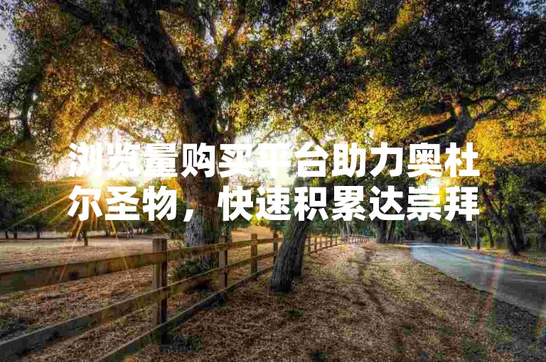 浏览量购买平台助力奥杜尔圣物，快速积累达崇拜。