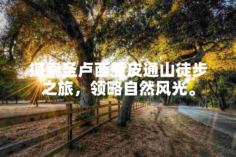 探索圣卢西亚皮通山徒步之旅，领略自然风光。
