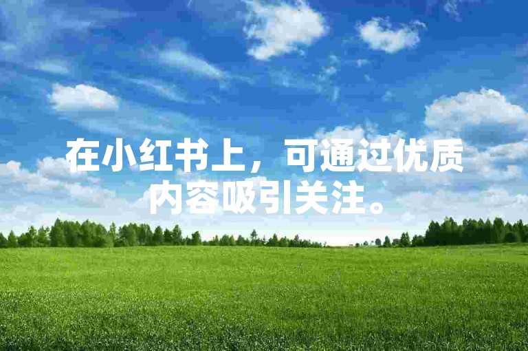 在小红书上，可通过优质内容吸引关注。