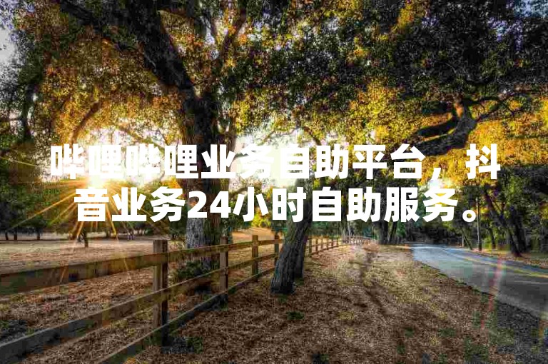 哔哩哔哩业务自助平台，抖音业务24小时自助服务。
