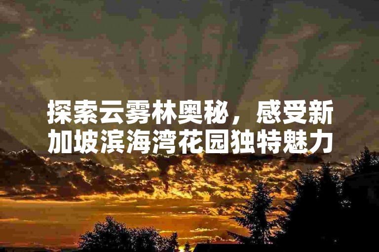 探索云雾林奥秘，感受新加坡滨海湾花园独特魅力。