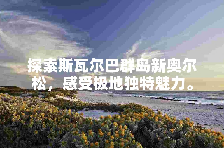 探索斯瓦尔巴群岛新奥尔松，感受极地独特魅力。