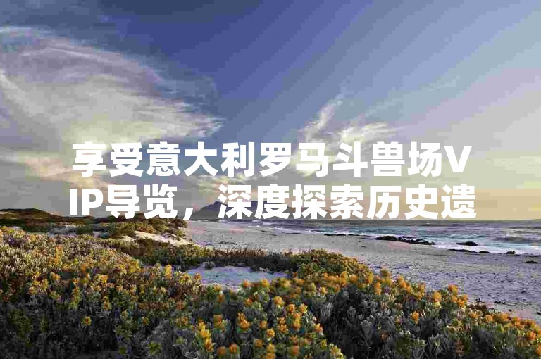 享受意大利罗马斗兽场VIP导览，深度探索历史遗迹。