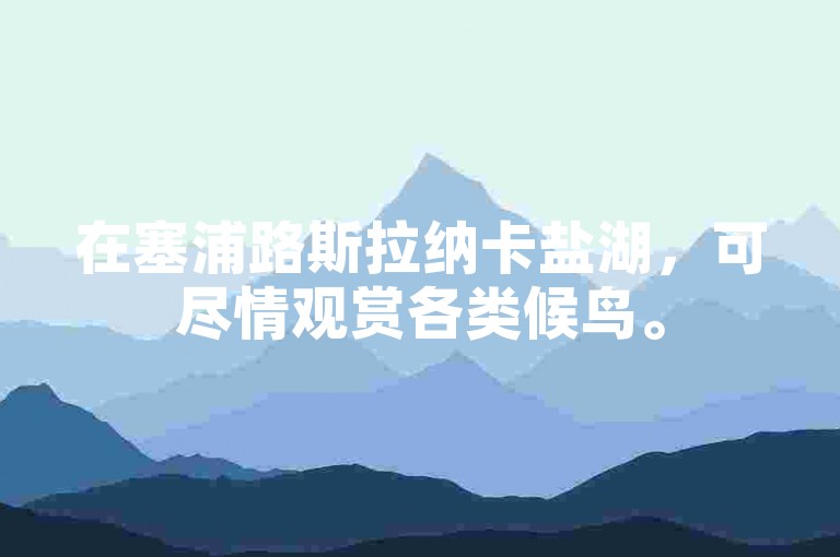 在塞浦路斯拉纳卡盐湖，可尽情观赏各类候鸟。