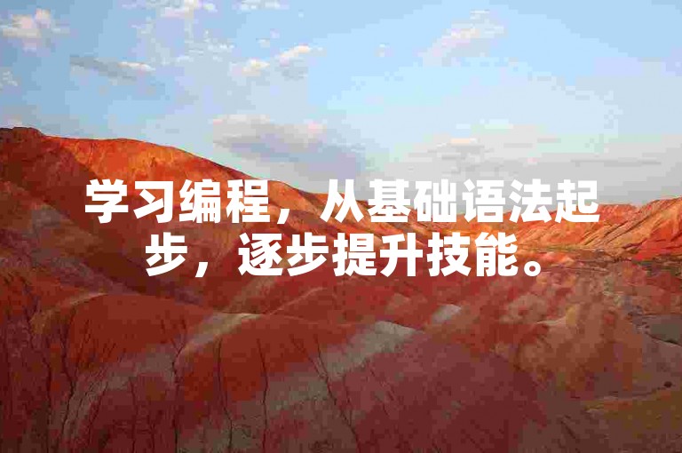 学习编程，从基础语法起步，逐步提升技能。