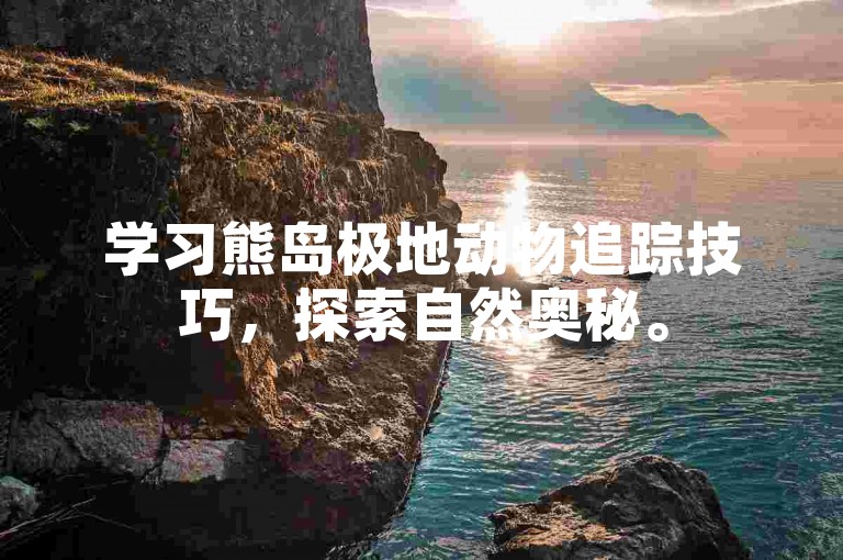 学习熊岛极地动物追踪技巧，探索自然奥秘。