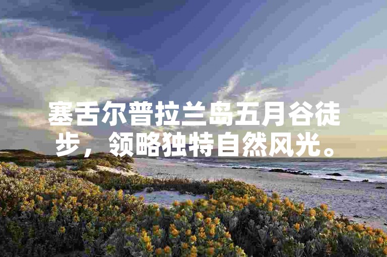 塞舌尔普拉兰岛五月谷徒步，领略独特自然风光。