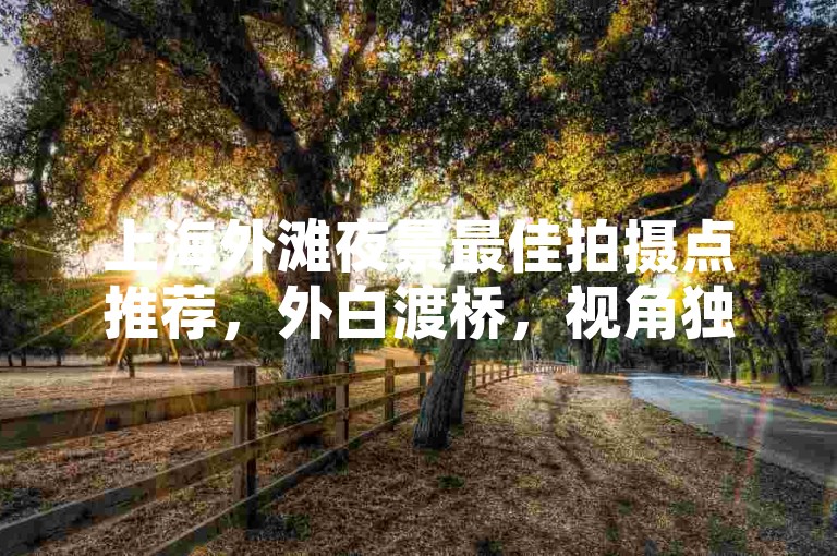 上海外滩夜景最佳拍摄点推荐，外白渡桥，视角独特。