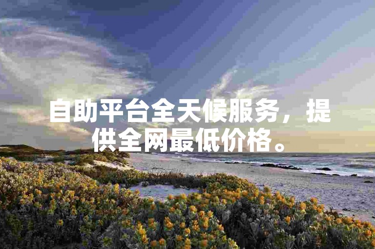自助平台全天候服务，提供全网最低价格。