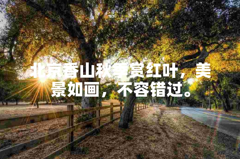 北京香山秋季赏红叶，美景如画，不容错过。