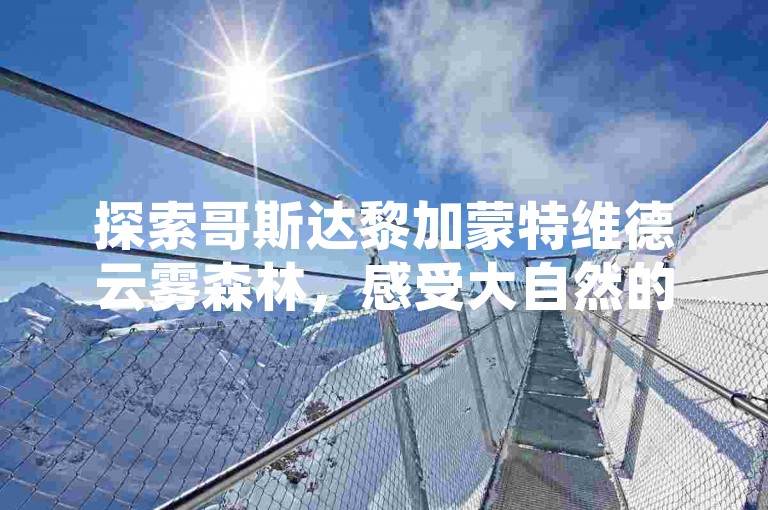 探索哥斯达黎加蒙特维德云雾森林，感受大自然的奇妙魅力。