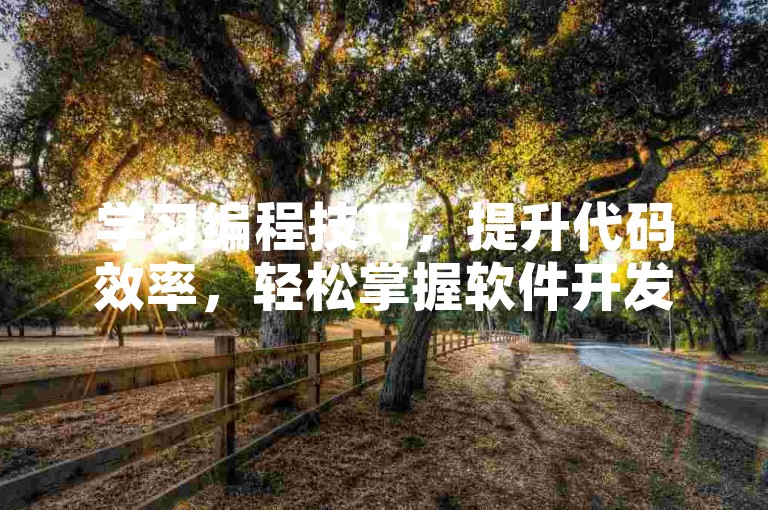 学习编程技巧，提升代码效率，轻松掌握软件开发。