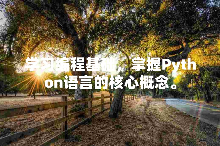 学习编程基础，掌握Python语言的核心概念。