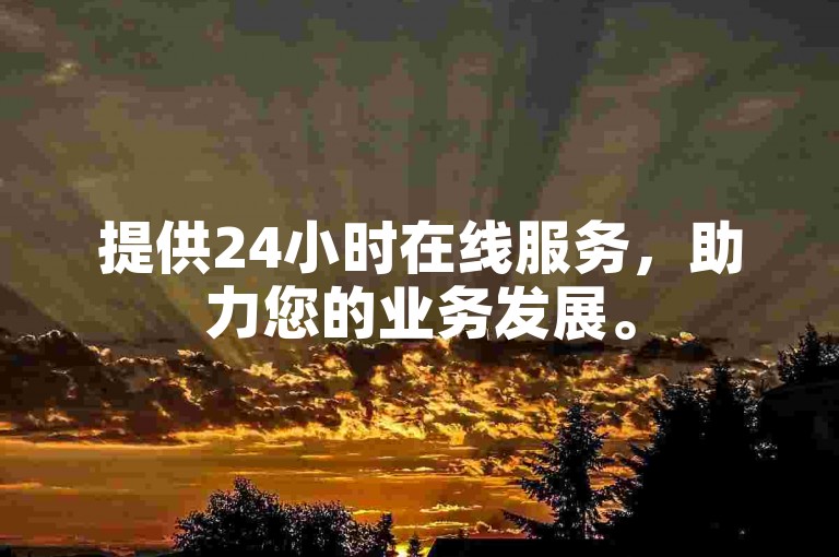 提供24小时在线服务，助力您的业务发展。