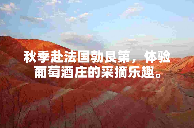 秋季赴法国勃艮第，体验葡萄酒庄的采摘乐趣。