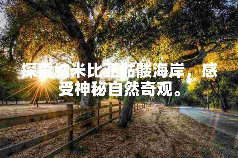 探索纳米比亚骷髅海岸，感受神秘自然奇观。