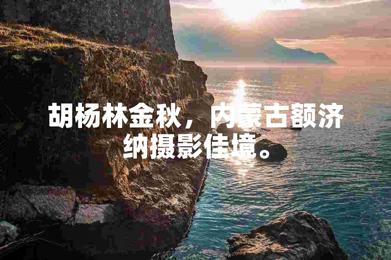 胡杨林金秋，内蒙古额济纳摄影佳境。