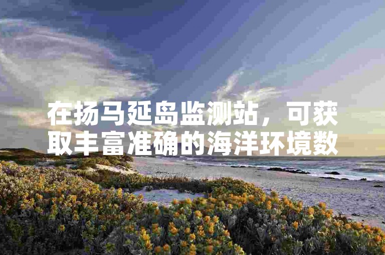 在扬马延岛监测站，可获取丰富准确的海洋环境数据。