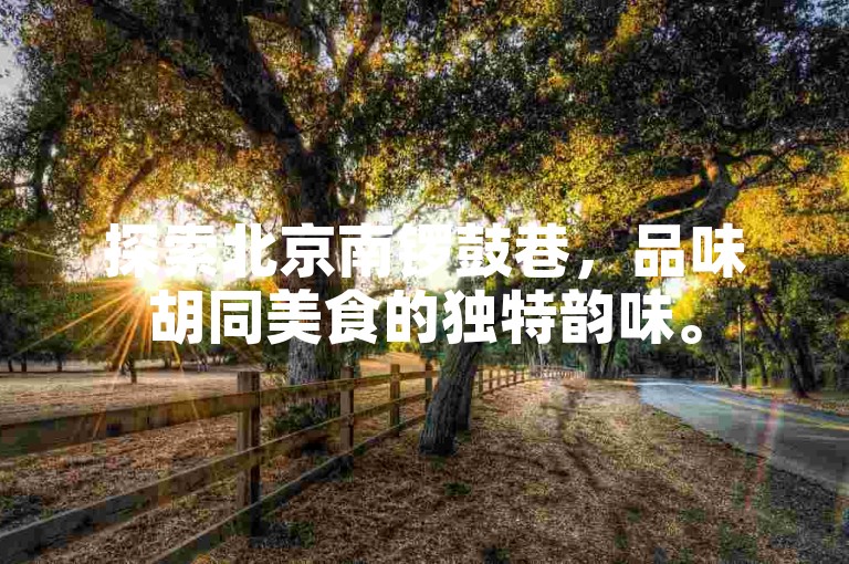 探索北京南锣鼓巷，品味胡同美食的独特韵味。