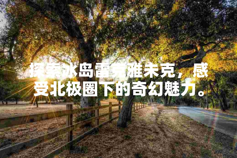 探索冰岛雷克雅未克，感受北极圈下的奇幻魅力。
