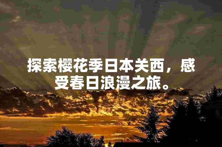 探索樱花季日本关西，感受春日浪漫之旅。