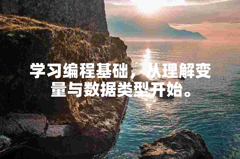 学习编程基础，从理解变量与数据类型开始。
