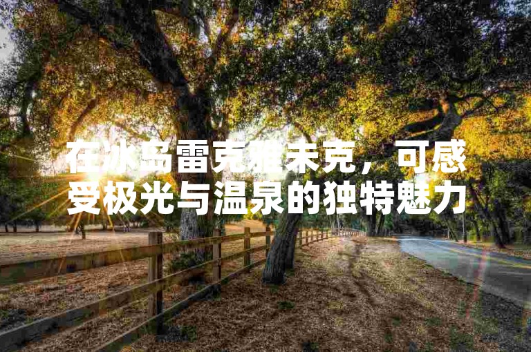 在冰岛雷克雅未克，可感受极光与温泉的独特魅力。