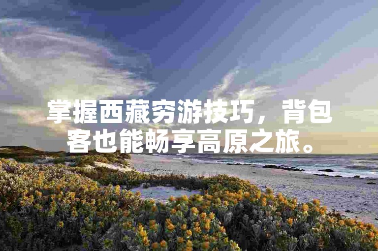 掌握西藏穷游技巧，背包客也能畅享高原之旅。